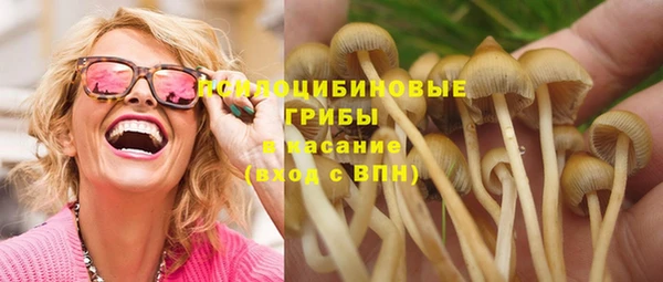 mix Богданович